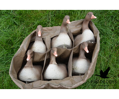 Prodecoys Prodecoys lokkertas 6 vaks