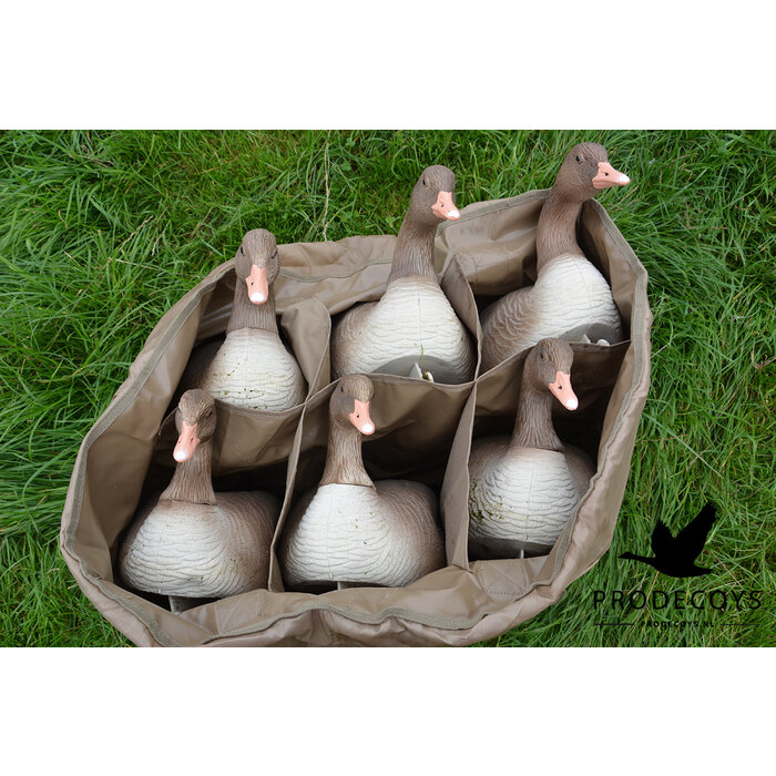 Prodecoys Prodecoys lokkertas 6 vaks