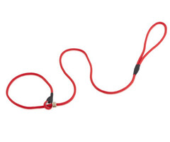 Firedog Firedog jachtlijn enkele stop 150 cm - 6mm rood