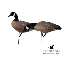 Prodecoys Prodecoys Canadese ganzenlokkers elite (6)