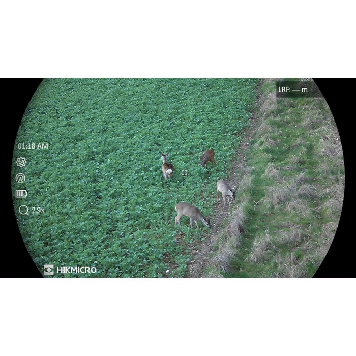 HIKMICRO Hikmicro Habrok HQ35 L (850 nm IR)