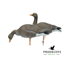 Prodecoys Prodecoys grauwe ganzen lokkers elite (6)