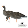 Prodecoys Prodecoys grauwe ganzenlokkers elite geflockt (6)