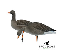Prodecoys Prodecoys grauwe ganzenlokkers elite geflockt (6)