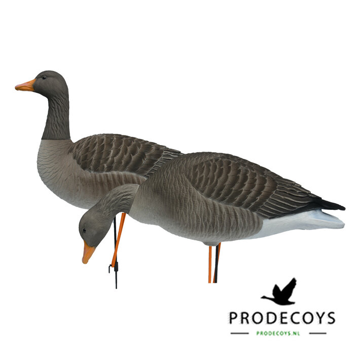Prodecoys Prodecoys grauwe ganzenlokkers elite geflockt (6)