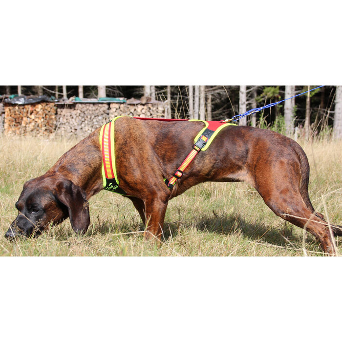 Niggeloh Niggeloh Follow Trail zweetwerk harnas