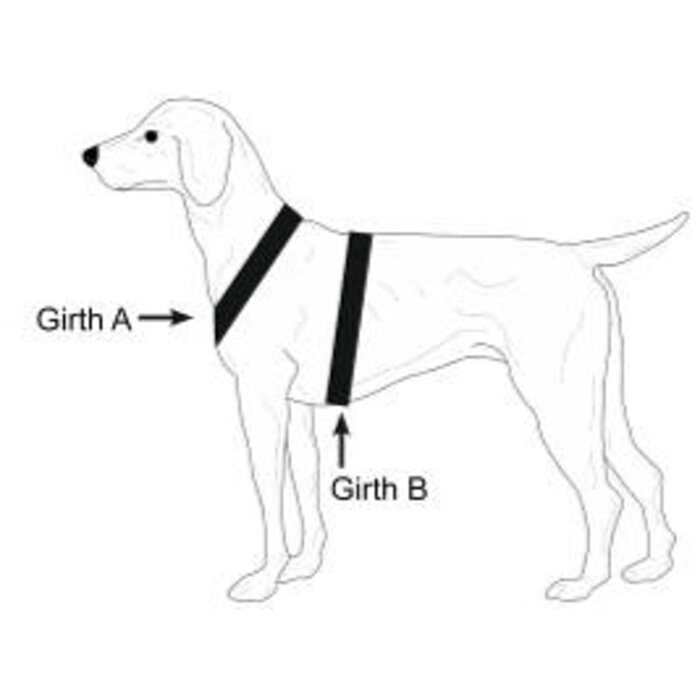 Niggeloh Niggeloh Follow Trail zweetwerk harnas