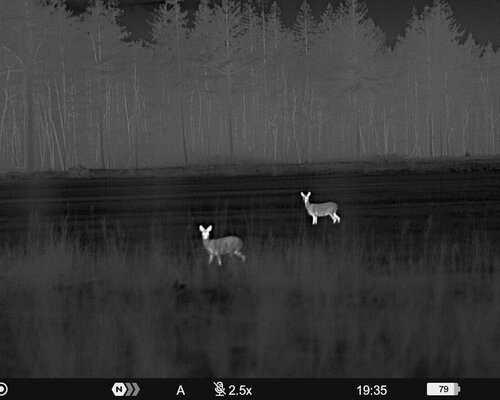 Waar let je op bij het aankopen van een warmtebeeldcamera?