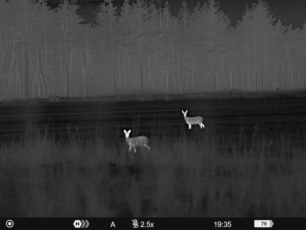 Waar let je op bij het aankopen van een warmtebeeldcamera?