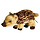 Knuffel frischling