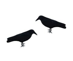 Lokkraai geflockt 41 cm (10 stuks)