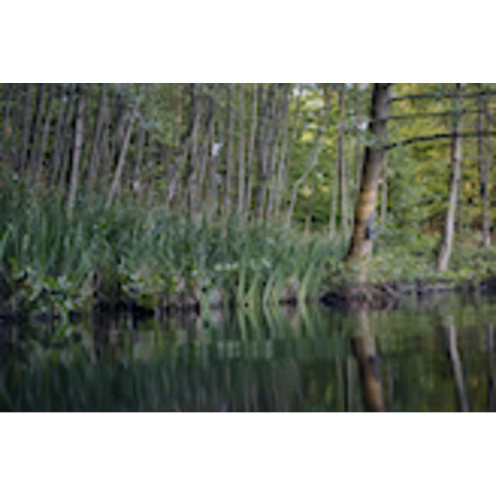 Zeiss Zeiss Secacam 3 wide angle