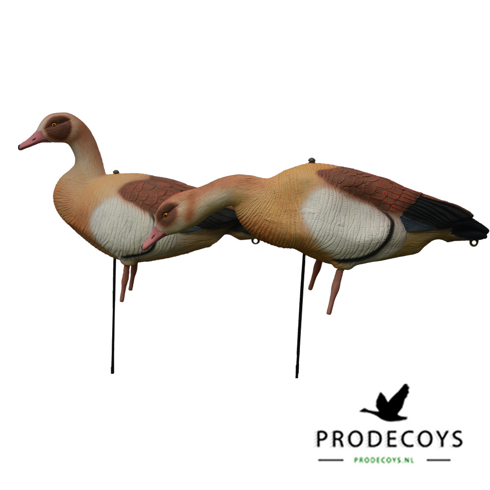 Prodecoys Prodecoys nijlganzen lokkers (6)