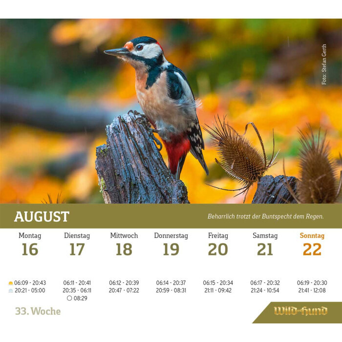 Wild und hund tafelkalender 2027