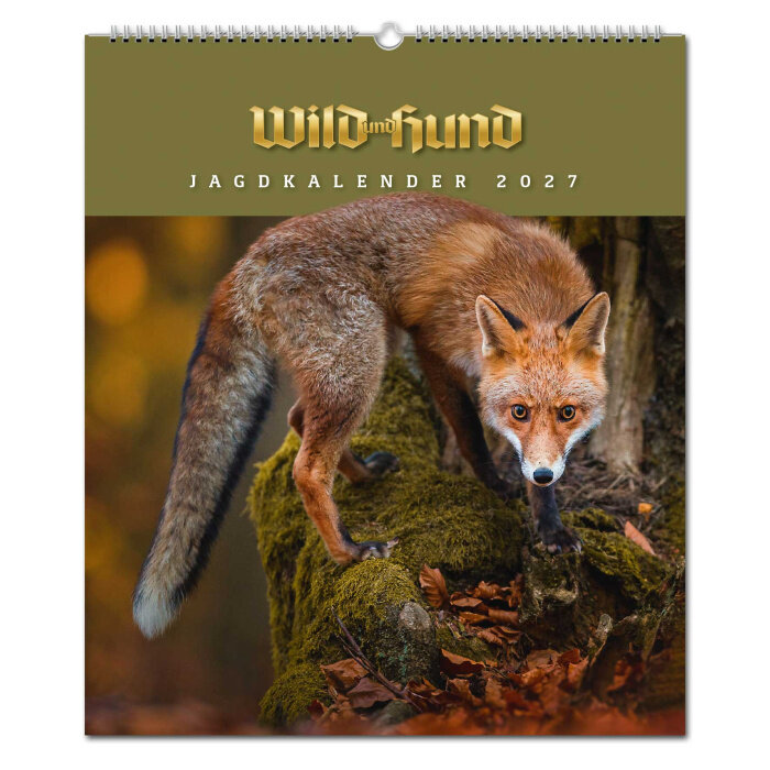 wild und hund wandkalender 2027