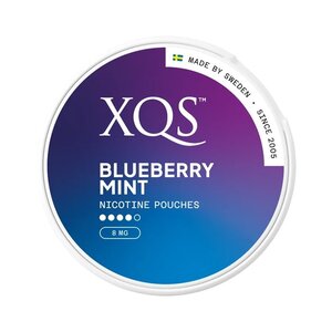 XQS XQS Blueberry Mint