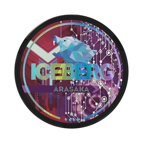 ICEBERG Iceberg Arasaka ICEBERG Iceberg Arasaka