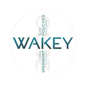 WAKEY Wakey Cool Spearmint | Sem Nicotina