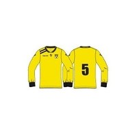 Quick Teamwear Thuisshirt v.v. Strijen