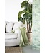 By-Boo Plaid Balance - green