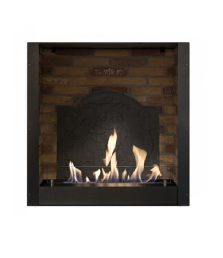 Xaralyn inbouw unit L  medaillon bio-ethanol haard