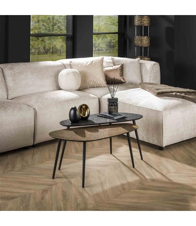 Rispens Salontafel set/2 niervormig metallic