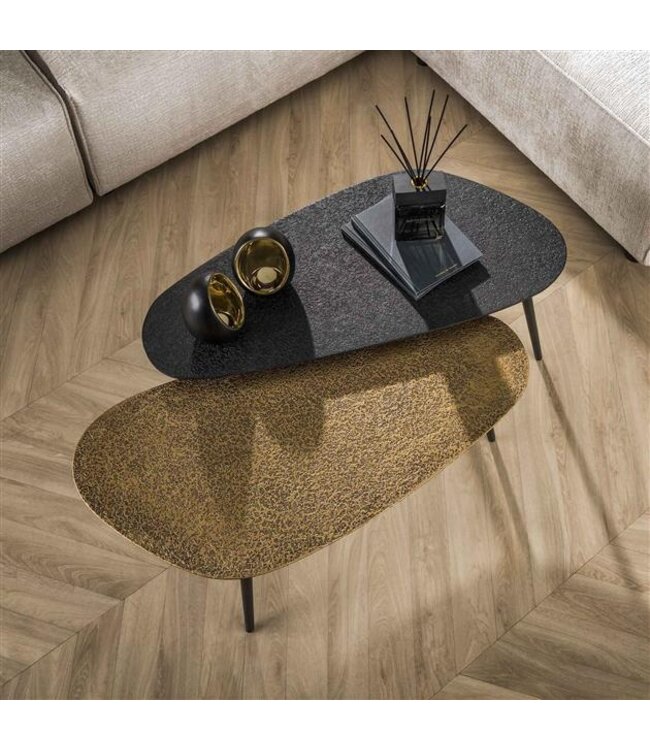 Rispens Salontafel set/2 niervormig metallic