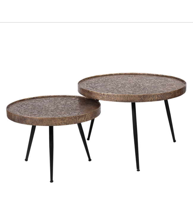 Rispens Salontafel set/2 rond metallic