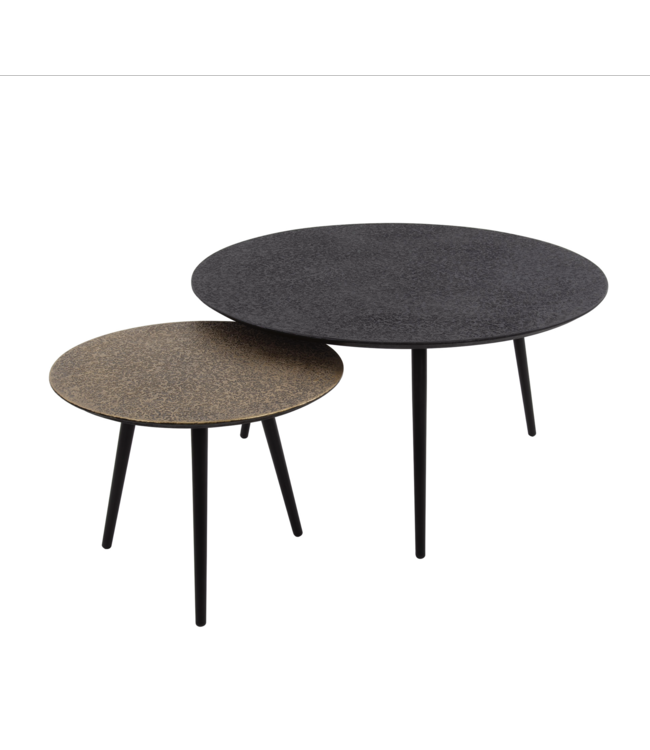 Rispens Salontafel set/2 rond metallic