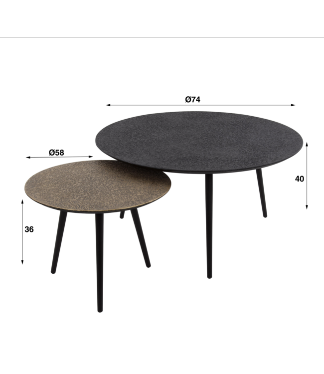 Rispens Salontafel set/2 rond metallic