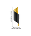 Stars Of Light Jabaloyas Zwart/Goud Star