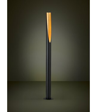 Stars Of Light Prebone  Zwart/Goud Star
