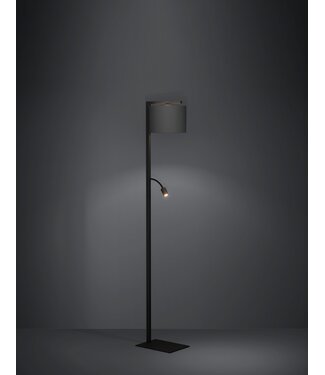 Stars Of Light Foligno Zwart