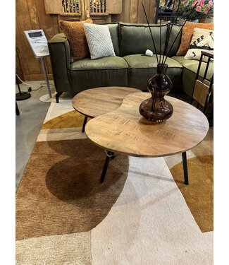 Lenstra set van 2 van mangohout