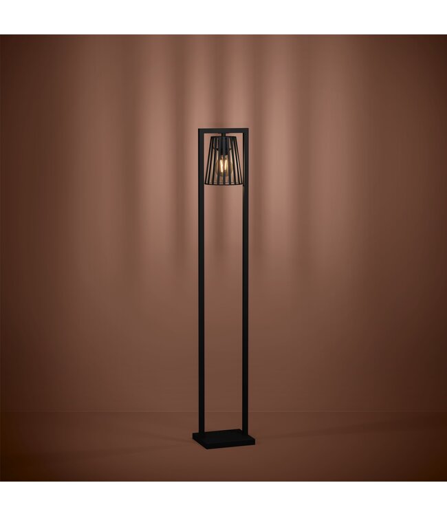 Stars Of Light Bogota