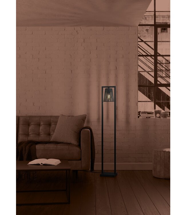 Stars Of Light Bogota