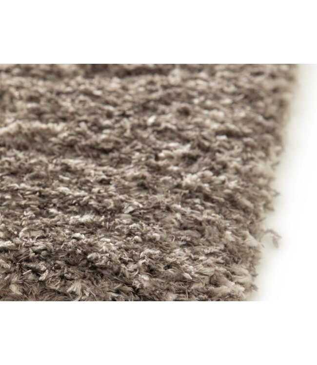 Eurogros Roxy 586 200x290