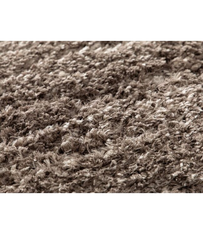 Eurogros Roxy 586 200x290