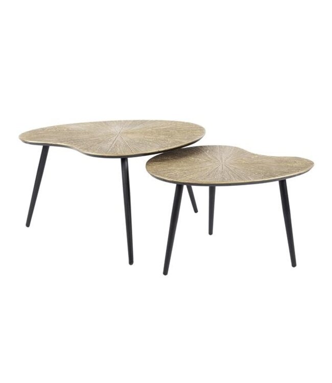 Rispens Set van 2 niervormig metal/Brons