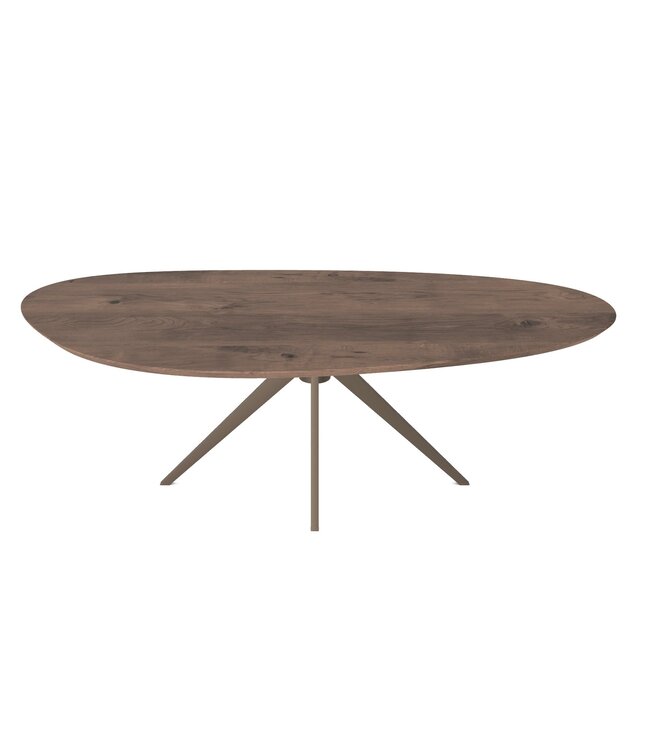 Rispens Eetkamertafel kiezel  Eiken 994  240x110 cm  (Smokey White) met onderstel (975) Champagne