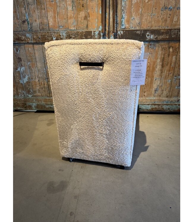 Rispens Olga -  D-Sheep 170