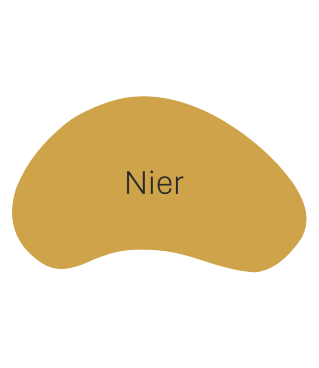 Eurogros Vloerkleed Euro Vivas 139 – 200x300 cm – Niervorm met band – Meet & Maak