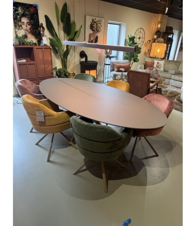 Rispens Eethoek – Ovale Tafel 240x120 cm met 6 Stoelen – Bergen Groen, Roze & Geel – Magnum Poot