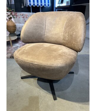 Rispens Leo Draai - Paola 10 liver