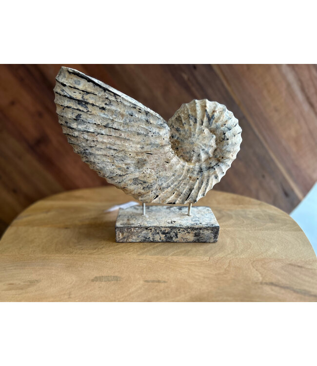 Houten ornament schelp op voet 30 cm – robuuste woondecoratie