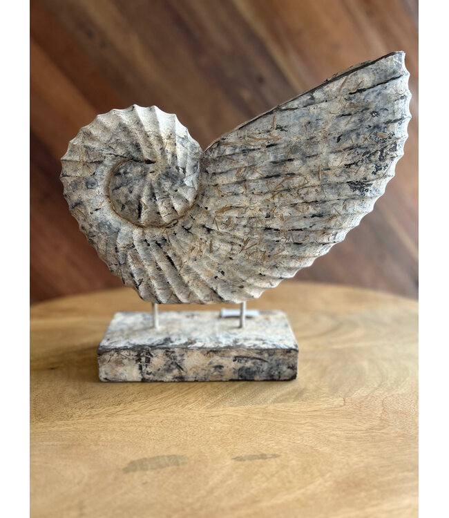 Houten ornament schelp op voet 30 cm – robuuste woondecoratie