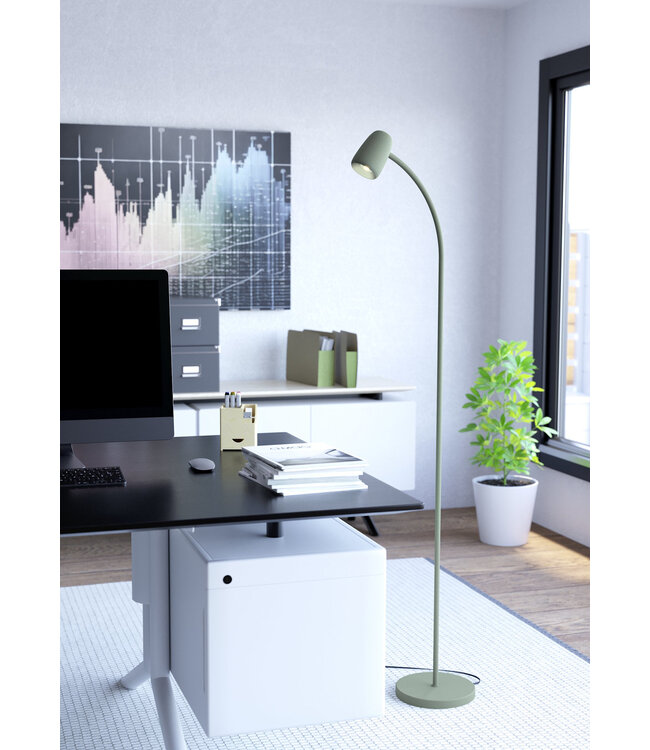 Eglo Carlo staande lamp groen/wit 170 cm – verstelbare leeslamp met E14-fitting