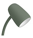 Eglo Carlo staande lamp groen/wit 170 cm – verstelbare leeslamp met E14-fitting