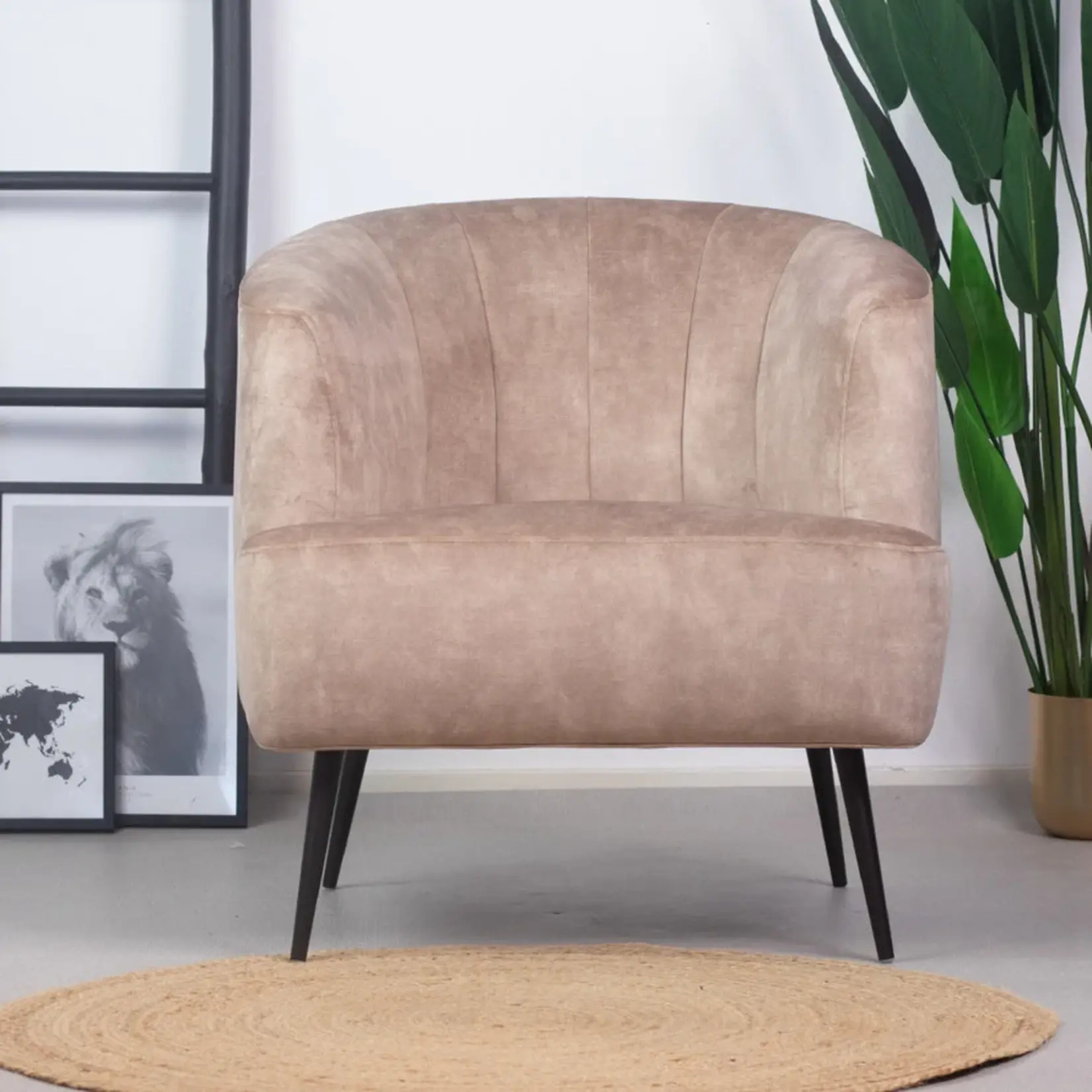 Billy Fauteuil Billy Taupe Velvet