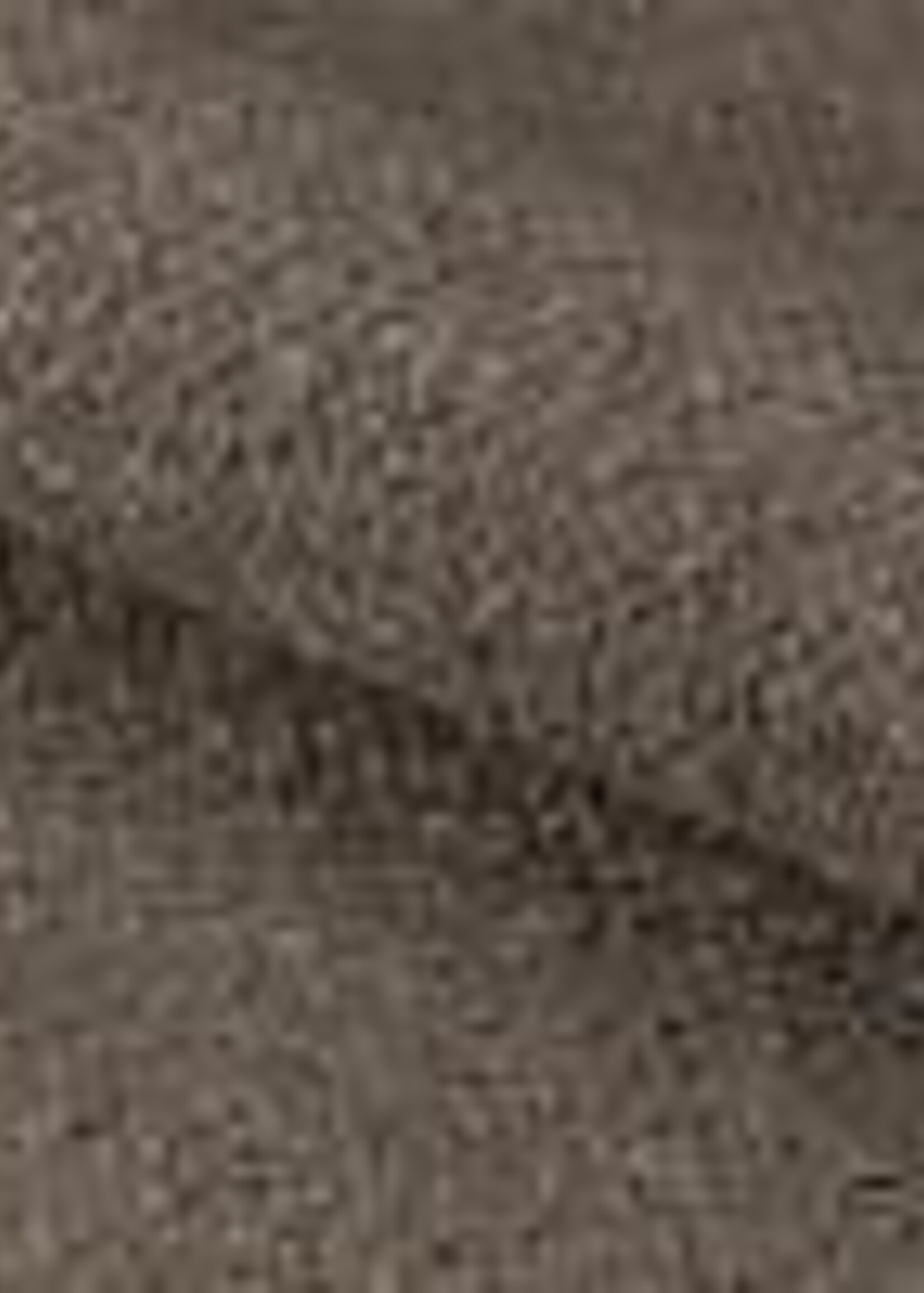 Addi eetkamerstoel met armleuning Taupe kleur